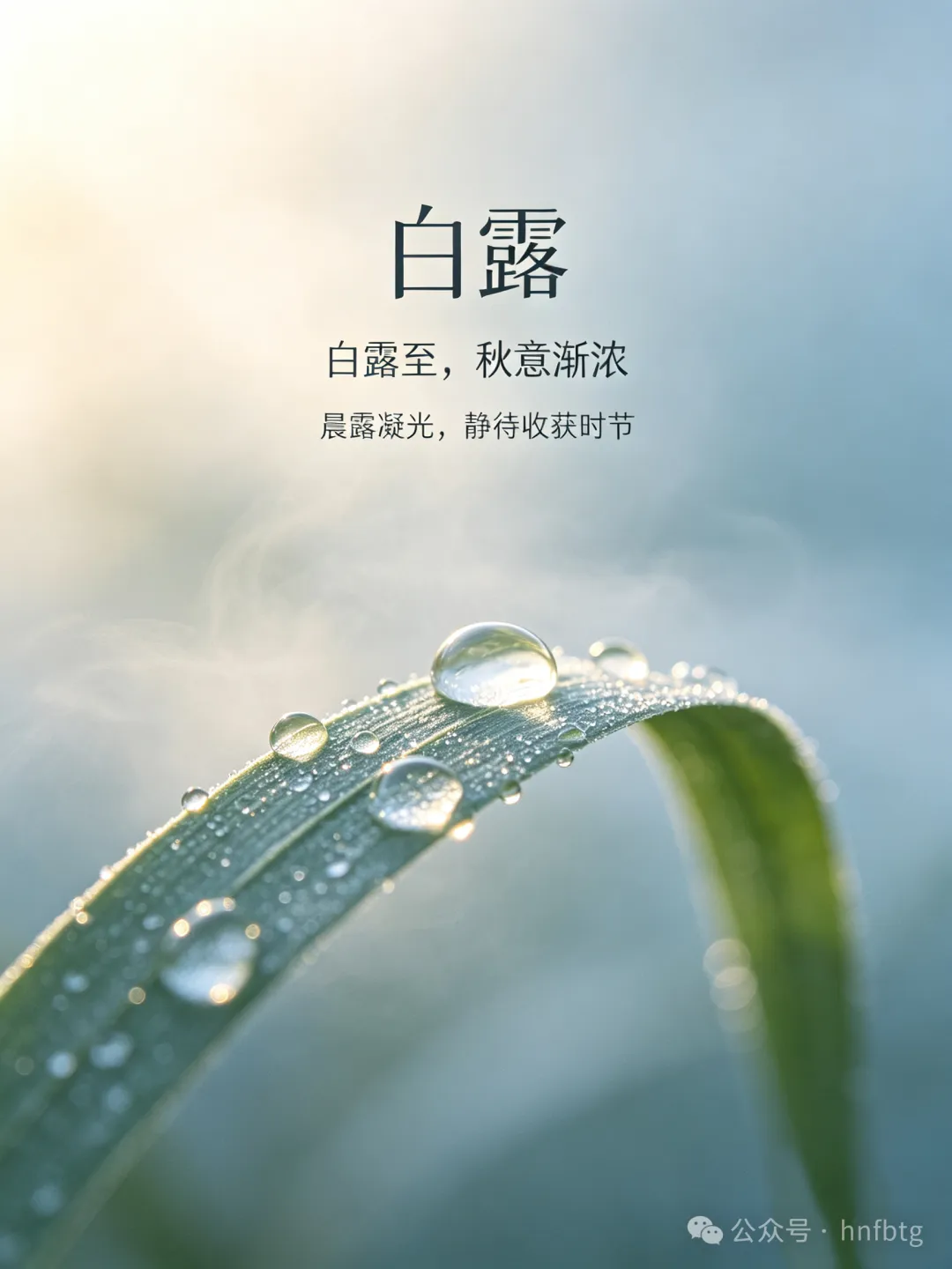 企业微信截图_17887624738538.png